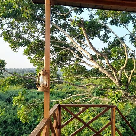 Leopard Nest - Glamping In Yala Otel Dış mekan fotoğraf