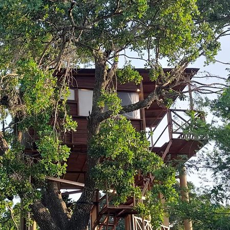 Leopard Nest - Glamping In Yala Otel Dış mekan fotoğraf