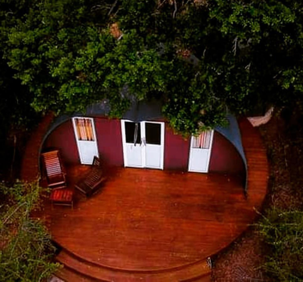 Leopard Nest - Glamping In Yala Otel Dış mekan fotoğraf