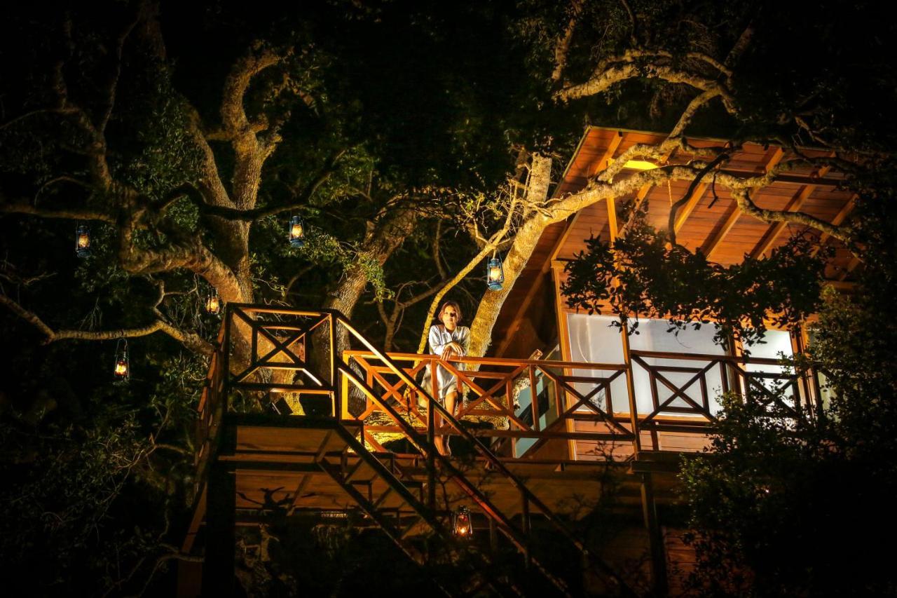 Leopard Nest - Glamping In Yala Otel Dış mekan fotoğraf