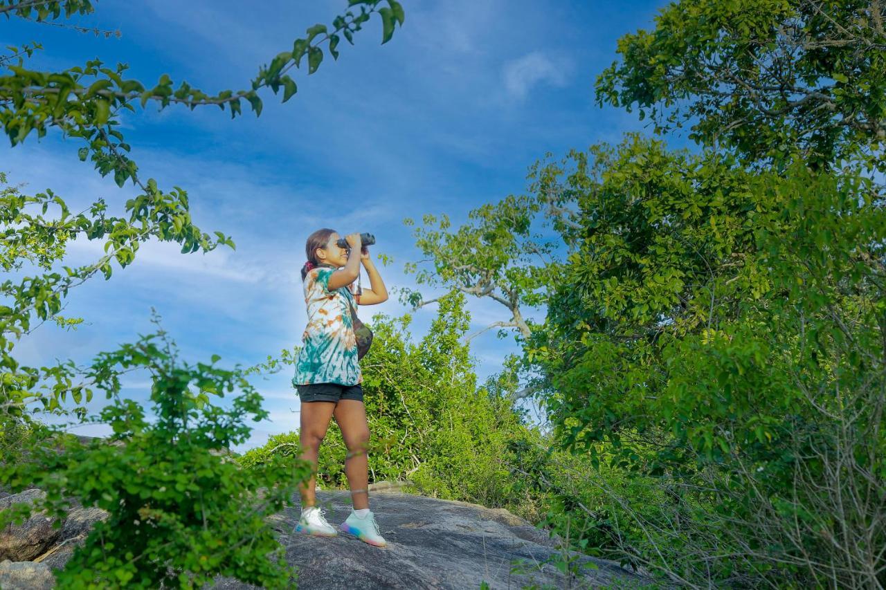 Leopard Nest - Glamping In Yala Otel Dış mekan fotoğraf