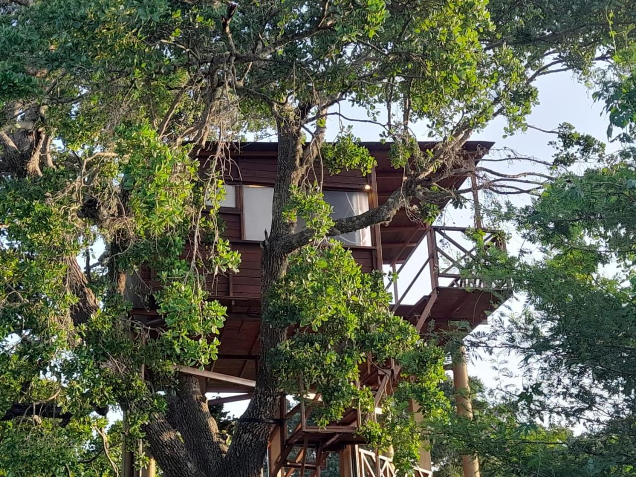 Leopard Nest - Glamping In Yala Otel Dış mekan fotoğraf