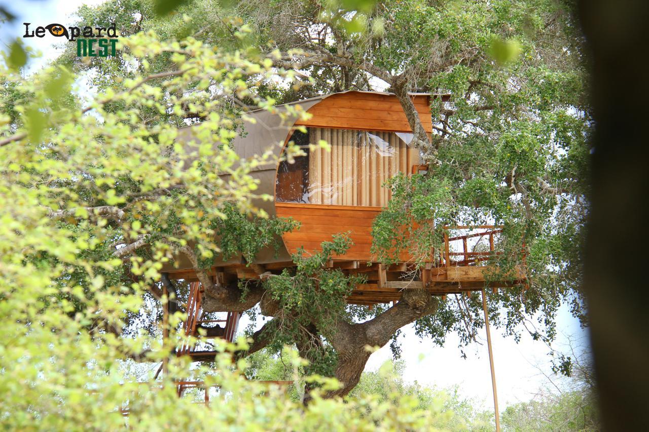 Leopard Nest - Glamping In Yala Otel Dış mekan fotoğraf