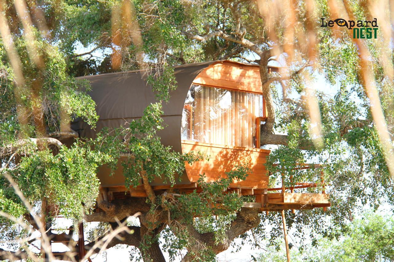 Leopard Nest - Glamping In Yala Otel Dış mekan fotoğraf