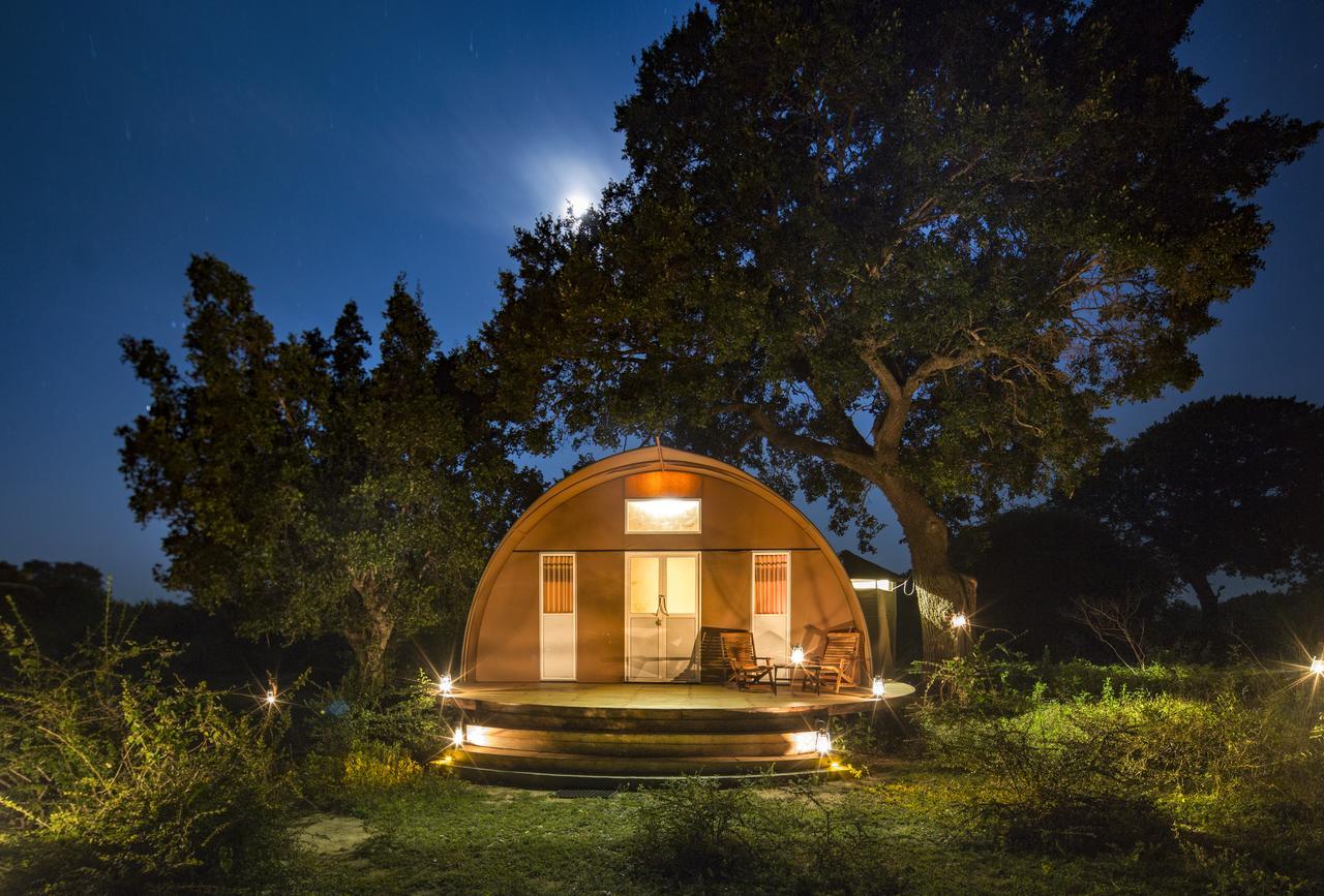Leopard Nest - Glamping In Yala Otel Dış mekan fotoğraf