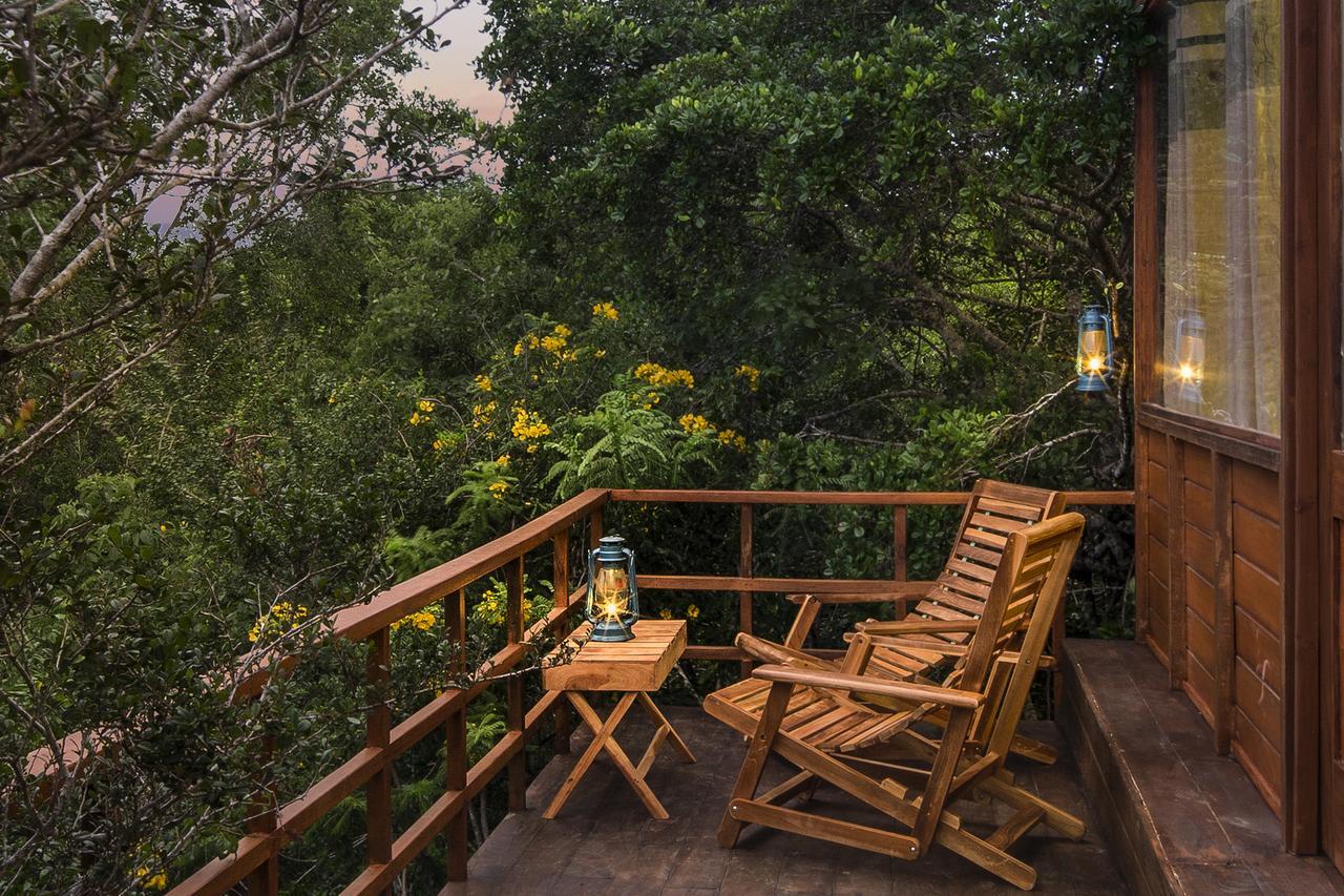 Leopard Nest - Glamping In Yala Otel Dış mekan fotoğraf