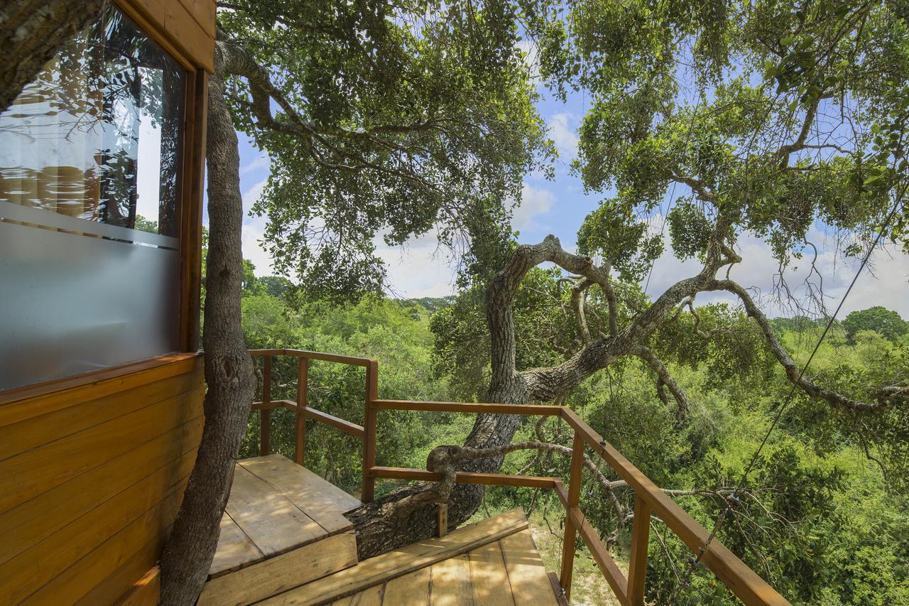Leopard Nest - Glamping In Yala Otel Dış mekan fotoğraf