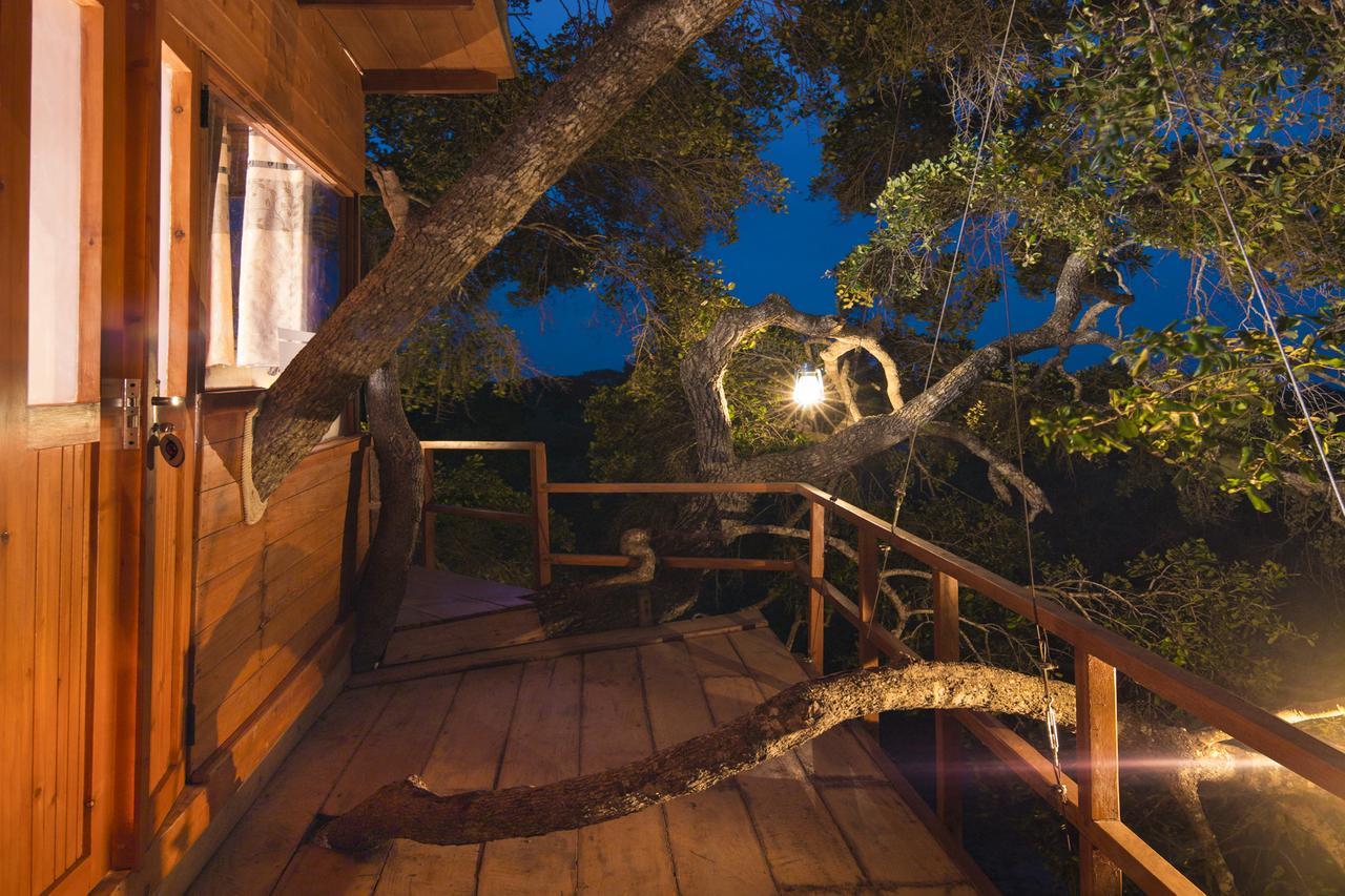 Leopard Nest - Glamping In Yala Otel Dış mekan fotoğraf